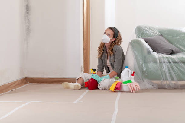 Reliable Black Mold Remediation contractor in Allenhurst, NJ by Car Mold Remediation